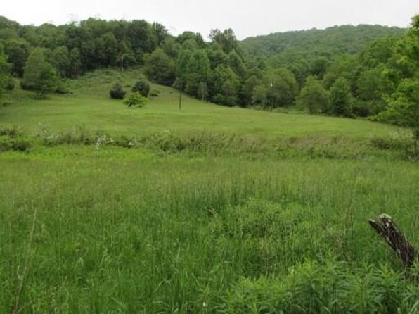 Flat Ridge Rd, Mouth Of Wilson, VA 24363