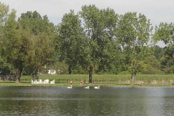 View from dock