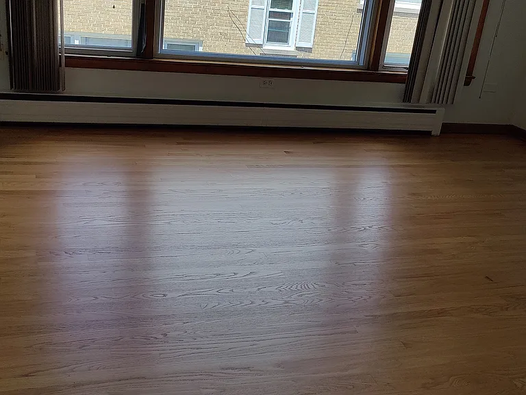 5855 N Elston Ave #2S — Photo 8