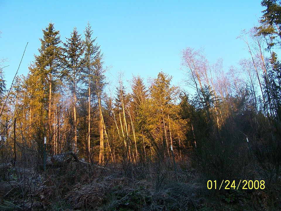 View from the main house