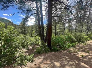 90 McLain Ct, Pagosa Springs, CO 81147