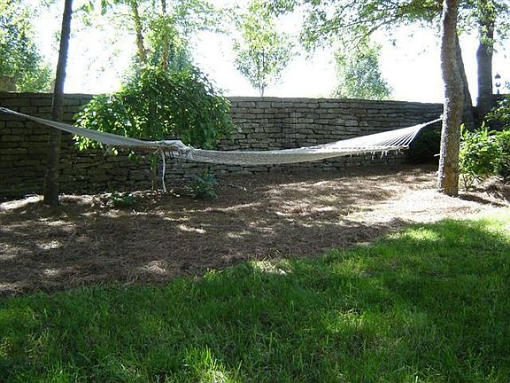 Shady back yard
