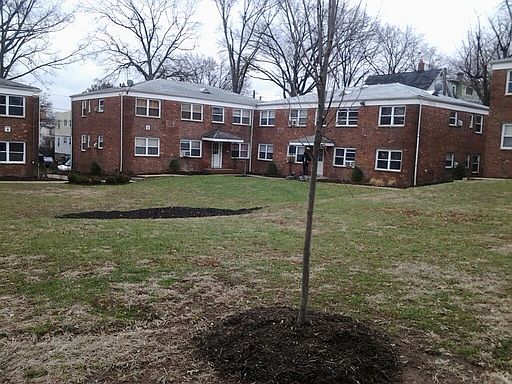 1st image of 55 Bross Pl APT 10