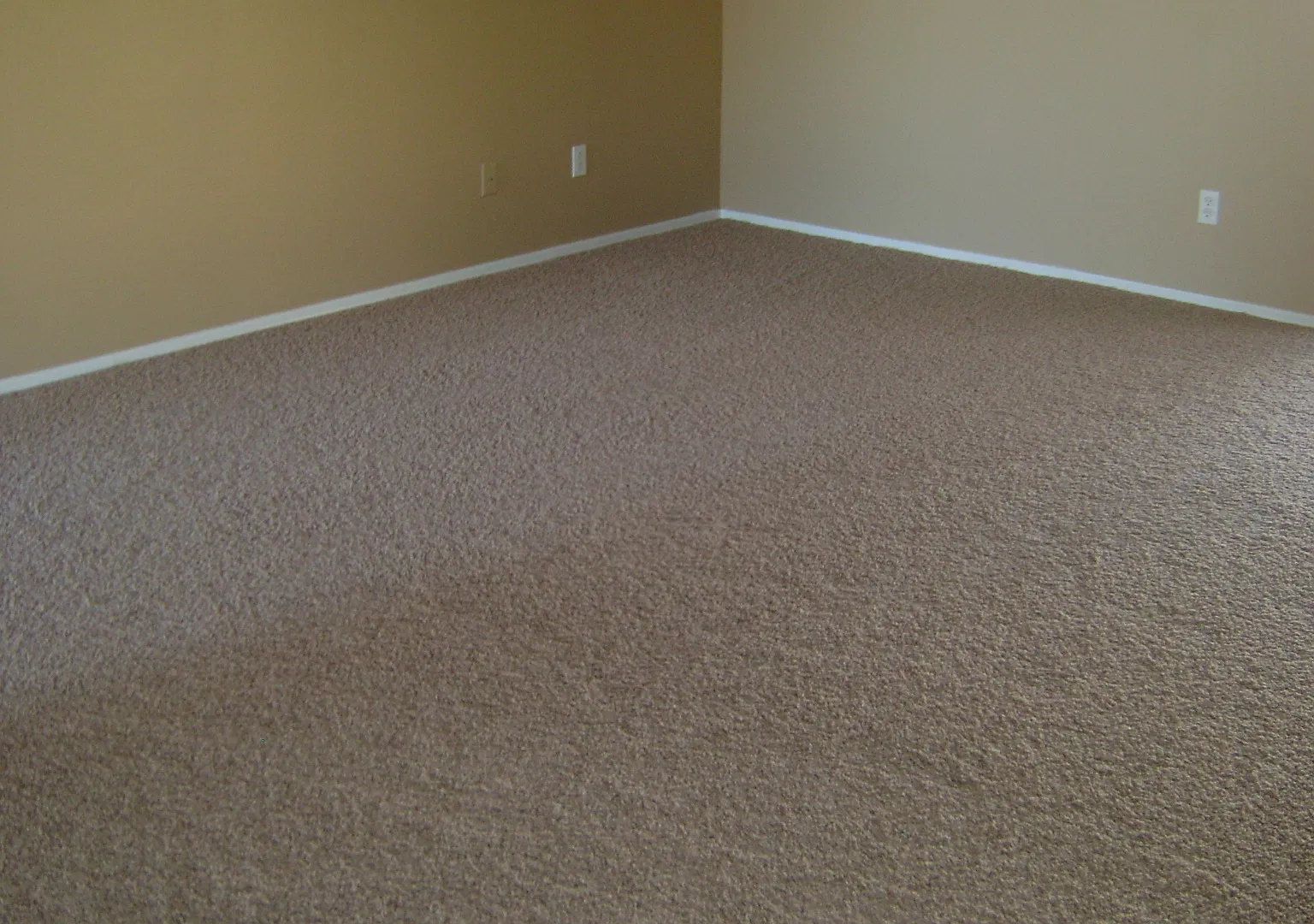 3bed 2bath In Apache Junction — Photo 2
