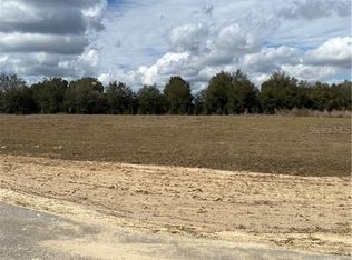 8823 Valerie Ct, Zephyrhills, FL 33540