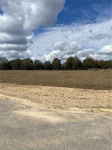 8823 Valerie Ct, Zephyrhills, FL, 33540