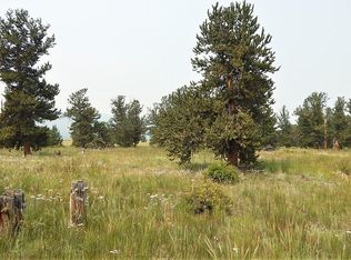 1828 Mullenville Rd, Fairplay, CO 80440