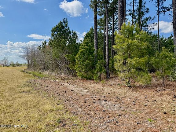 4th image of 0 Black Mingle Road