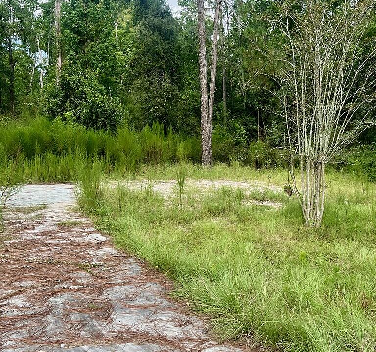 2nd image of 1913 Greenview Dr