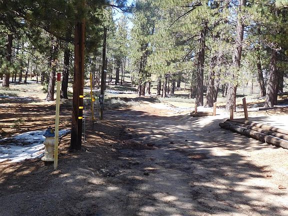 2nd image of 507 Pine Ln