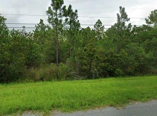 Robertson St LOT 33, Orlando, FL 32833