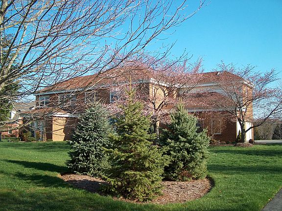 Front View