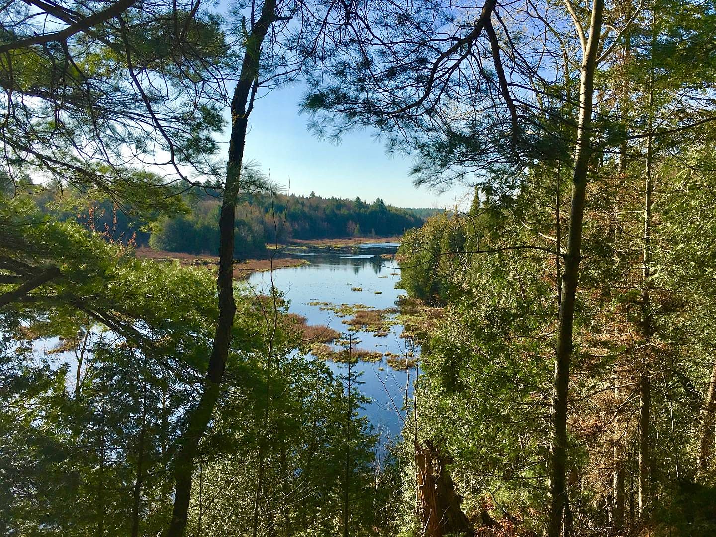 0 McCoy Rd, Natural Bridge, NY 13665 Zillow