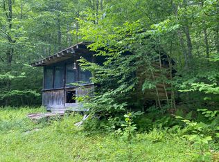 391 Cat Hollow Dr, Roscoe, NY 12776