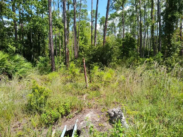 3734 Clove Ave #110, Bunnell, FL 32110