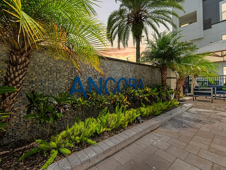 Ancora — Photo 40