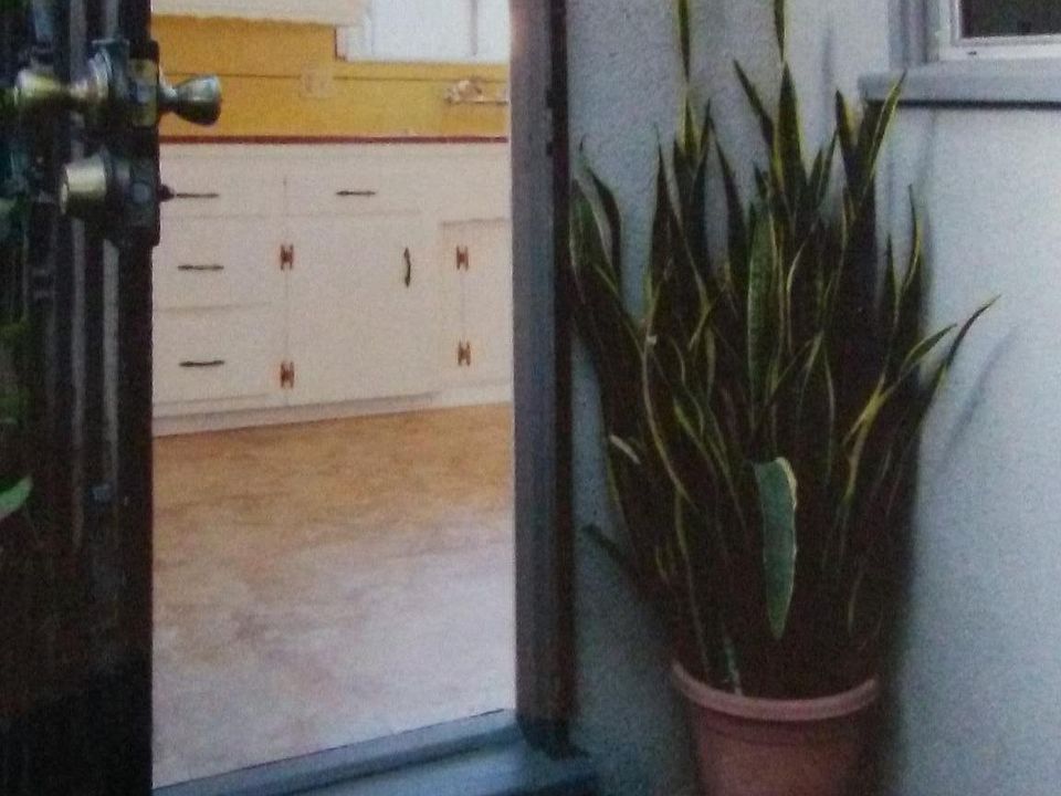 Back Door /porch
