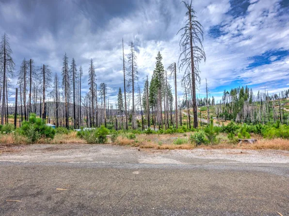 4529 String Canyon Rd, Grizzly Flats, CA 95636
