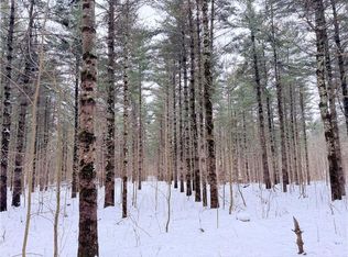 0 Star Lake Road, Rice Lake, WI 54868