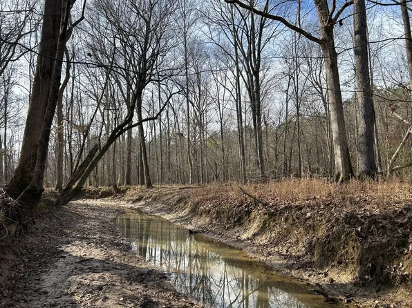 0 County Road 43, Houston, MS 38851