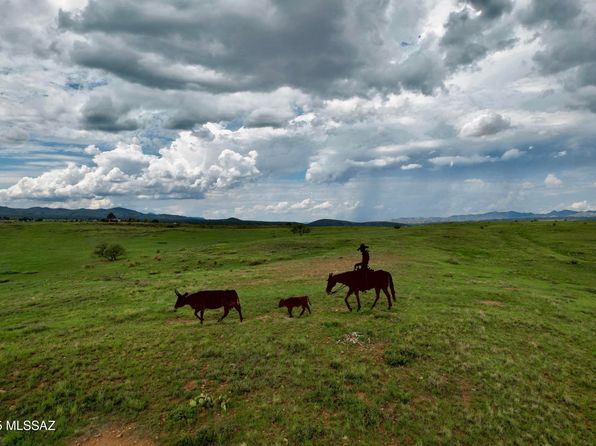 25 Coyote Ct, Sonoita, AZ 85637