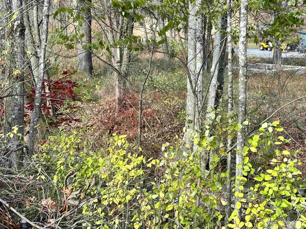 75 Upper Isner Creek Rd, Elkins, WV 26241