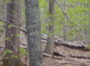 100 E Trask Lake Rd, Harrisville, MI 48740