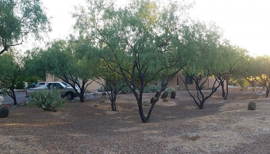 1st image of 6854 N Placita Chula Vis