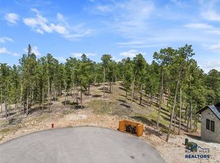 11315 Overlook Ct, Lead, SD 57754