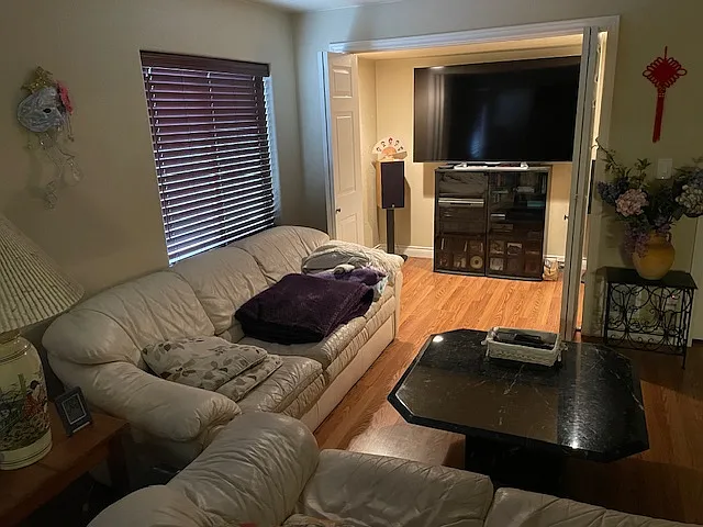 Shared Basement Entertainment