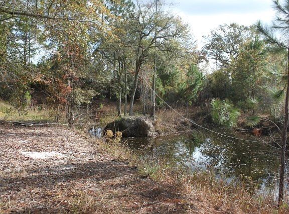 3rd image of 85 White Tail Dr