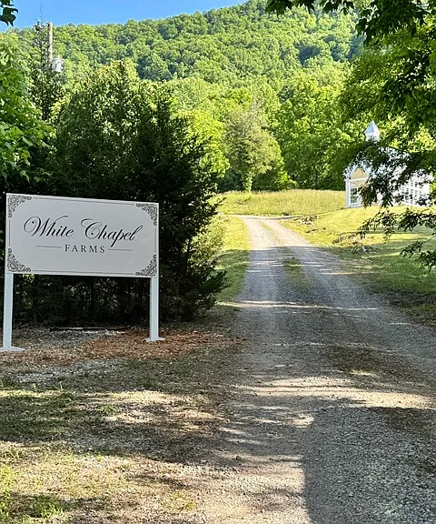 Old Thomas Byrd Rd — Photo 1