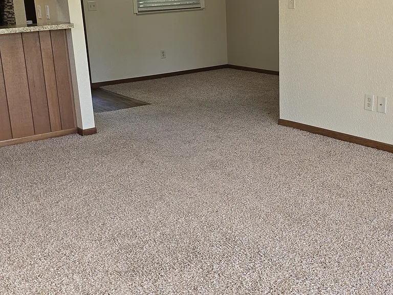 1116 N Plum St — Photo 2