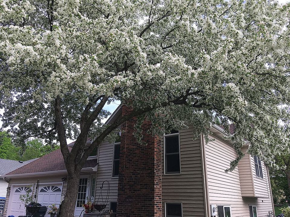 1st image of 2040 Burke Ave E