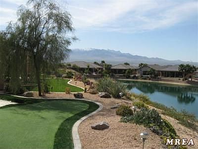 Putting Green/Back Yard