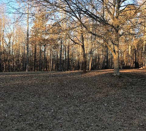 3rd image of 0 Walton Dr Lot 2