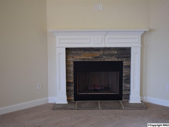 5th image of 137 Carleigh Falls Dr