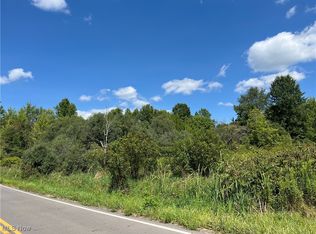 Vl S Newton Falls Rd, Diamond, OH 44412