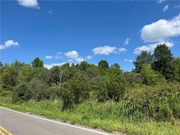 Vl S Newton Falls Rd, Diamond, OH 44412