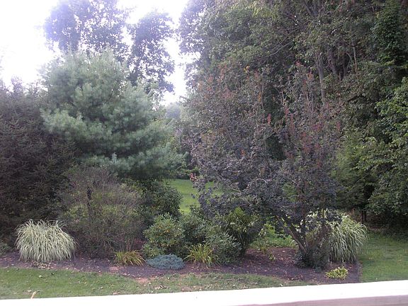 Professionally landscaped