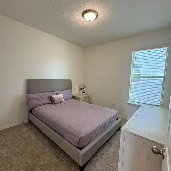 16236 Carraway Bay Aly — Photo 10