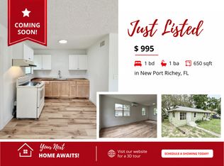 12005 Wanda Ave, New Pt Richey, FL 34654