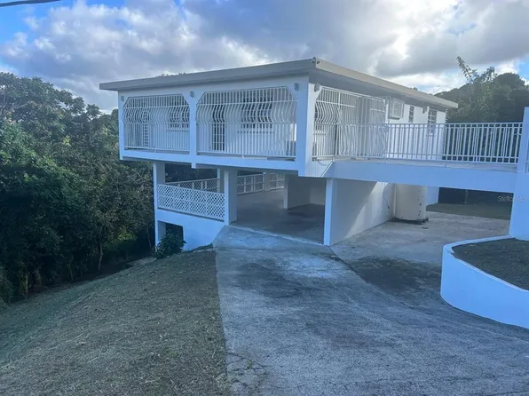 9929 Barrio Lirios, Juncos, PR 00777