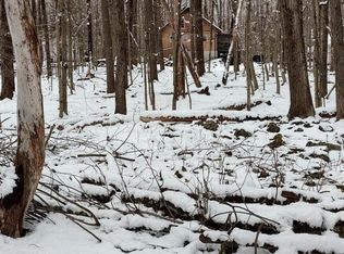 1511 Tommys Ln, Pocono Lake, PA 18347