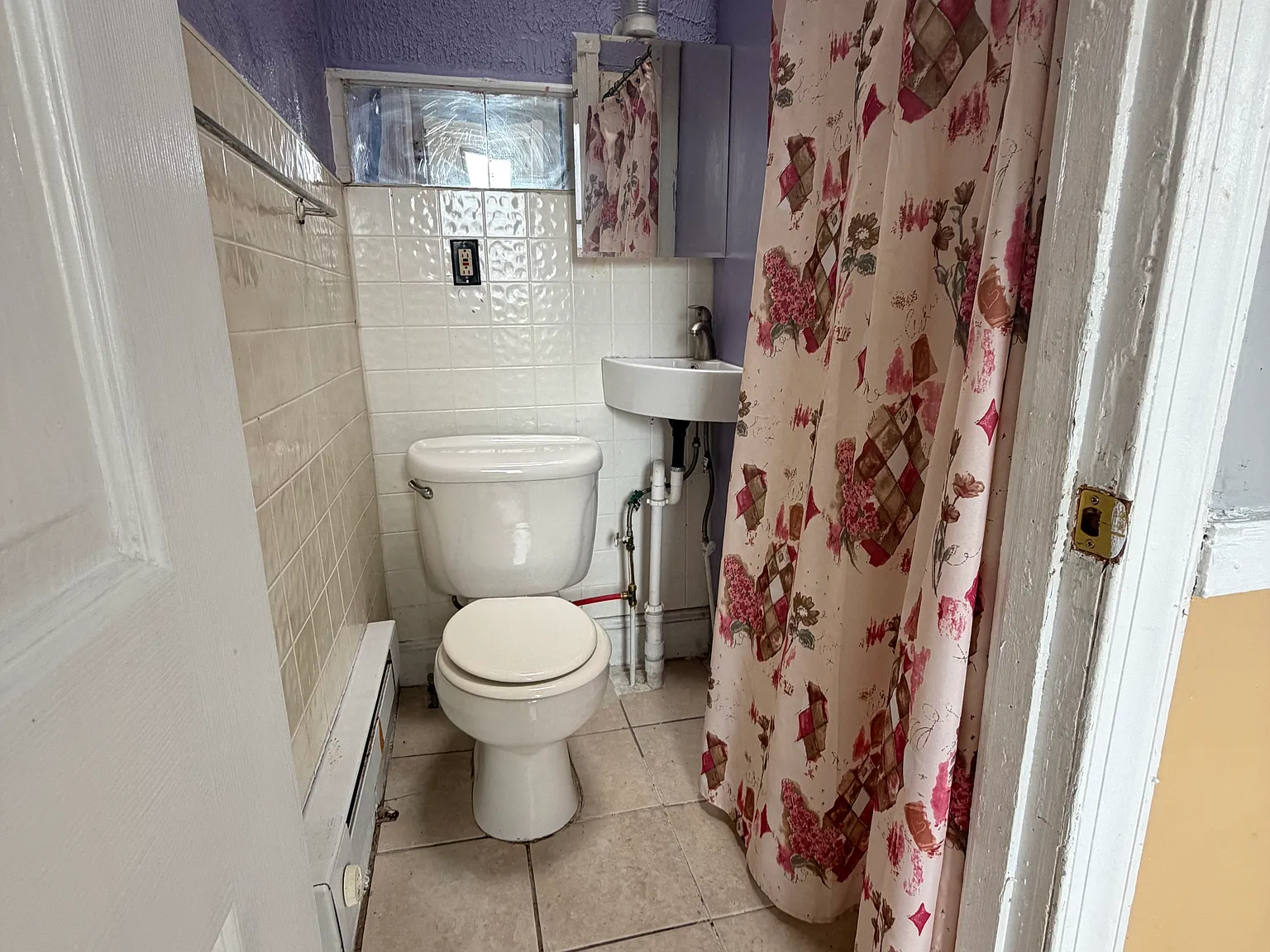 Studio, 427 sqft, $800 — Photo 3