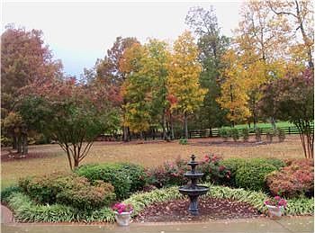 5th image of 31 Millers Pond Way