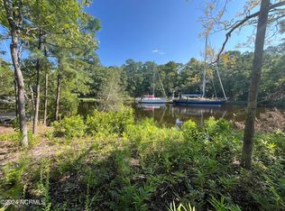 111 Pineview Dr LOT 42, Oriental, NC 28571