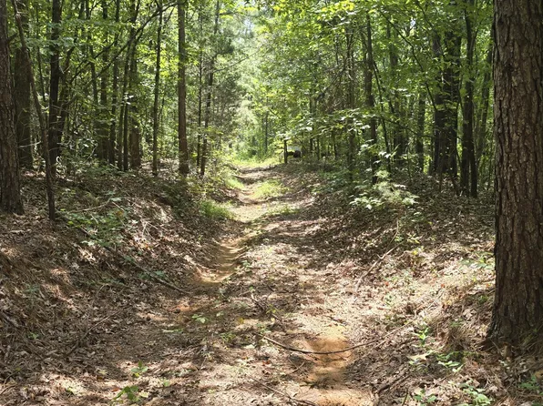 4190 Tuscumbia Rd, Blue Springs, MS 38828