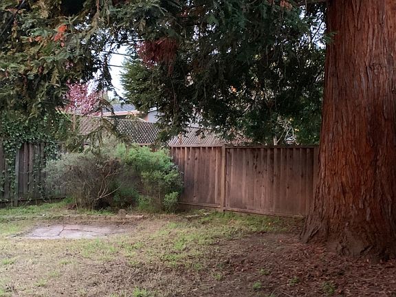 Backyard with redwood tree for shade