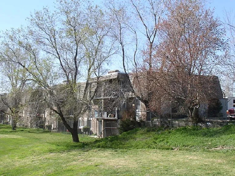 Ponderosa — Photo 128